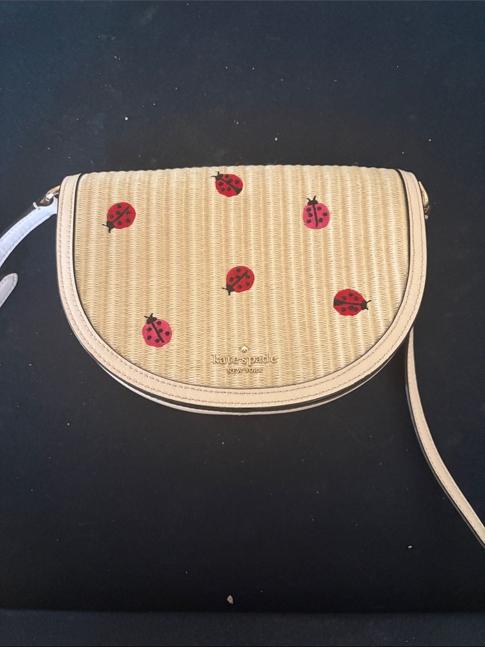 kate spade Beige Straw Crossbody with Red Ladybug Embroidery